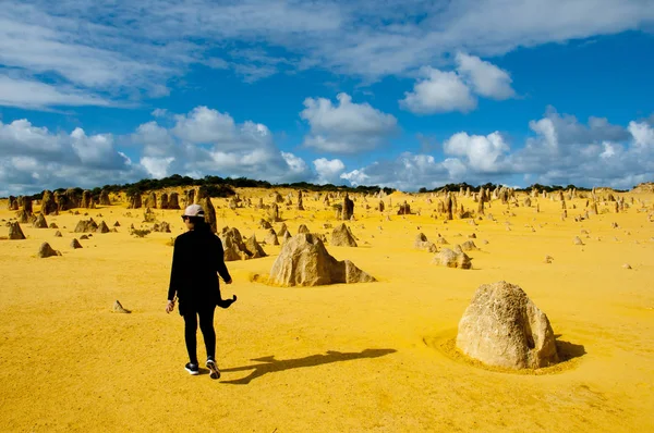 Pinakels West Australië — Stockfoto