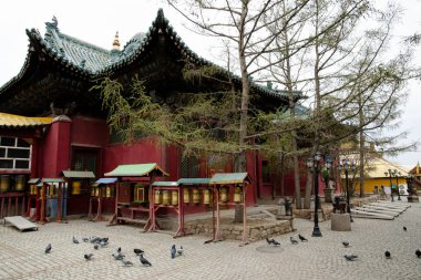 Gandantegchinlen Manastırı - Ulaanbaatar - Moğolistan