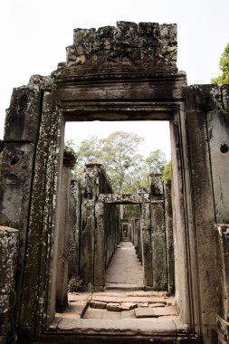 Bayon Khmer tapınağı - Siem biçmek - Kamboçya