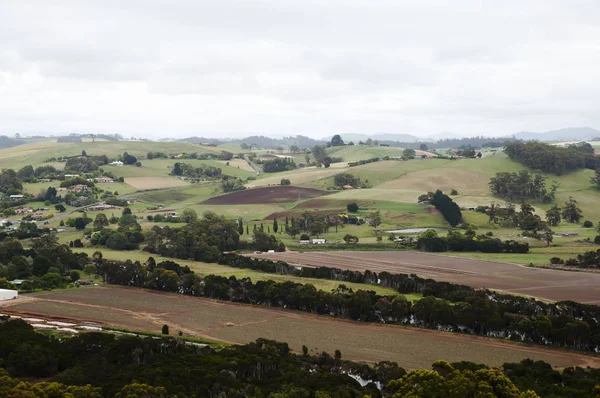 Vruchtbare Landbouwgronden Noordwesten Tasmanië — Stockfoto