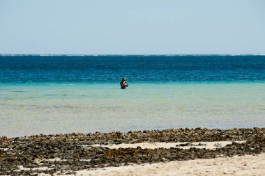 Coral Bay - Batı Avustralya
