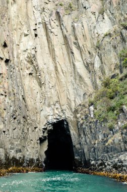 Karantinasıyla Cliffs - Tazmanya - Avustralya
