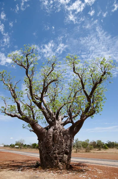 Boom Boom Kimberley West Australië — Stockfoto