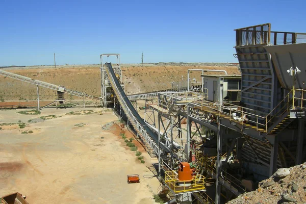 Altın madenciliği işlemi bitki  