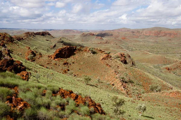 Plantas Spinifex Campo Mineral Hierro Australia —  Fotos de Stock