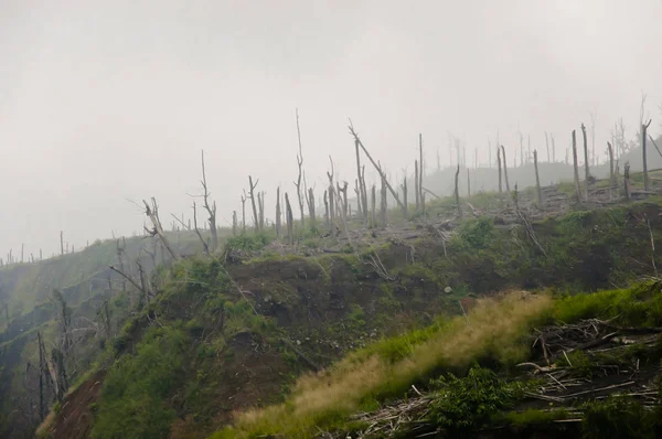 Nachwirkungen Des Vulkanausbruchs Merapi 2010 Indonesien — Stockfoto