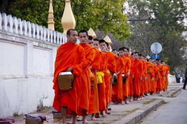Luang Prabang, Laos - 16 Şubat 2011: Günlük ritüel keşiş sadaka ve teklifleri toplama