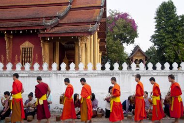 Luang Prabang, Laos - 16 Şubat 2011: Günlük ritüel keşiş sadaka ve teklifleri toplama