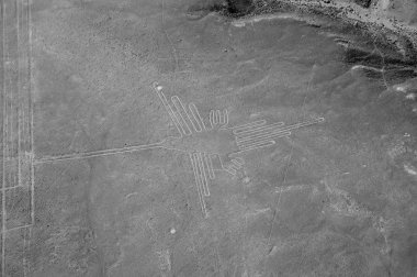 Sinek kuşu - Nasca çizgileri - Peru