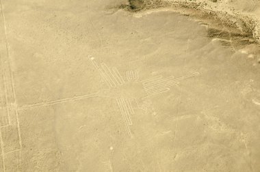Sinek kuşu - Nasca çizgileri - Peru