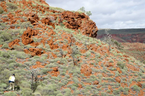 Geólogo Explorador Campo Australia —  Fotos de Stock