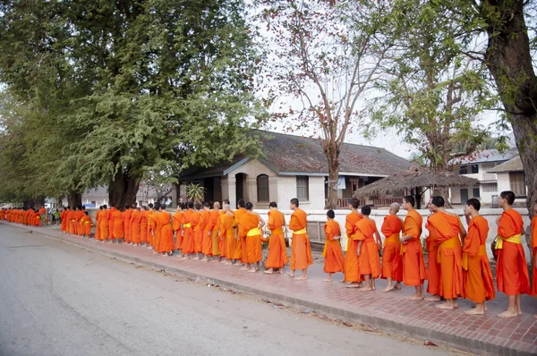 Luang Prabang, Laos - 16 Şubat 2011: Günlük ritüel keşiş sadaka ve teklifleri toplama