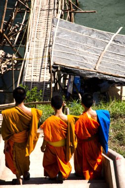 Genç rahipler - Luang Prabang - Laos
