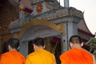 Genç rahipler - Luang Prabang - Laos