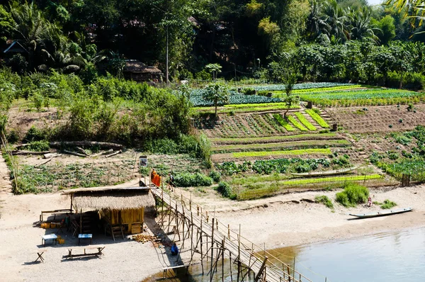 Agricultura Río Mekong Laos — Foto de Stock