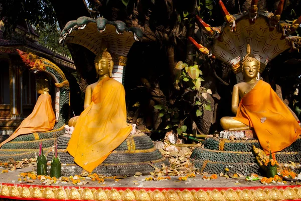 Boeddhabeelden Pha Die Luang Vientiane Laos — Stockfoto