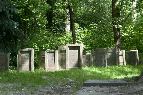 Jewish Cemetary Lezajsk Poland — Stock Photo, Image