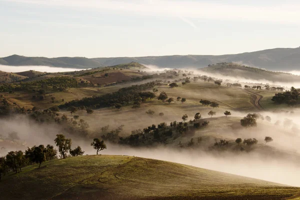 Brouillard Dans Atlas Maroc — Photo