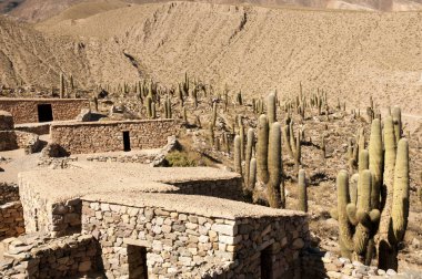 Pucara de Tilcara Harabeleri - Jujuy - Arjantin