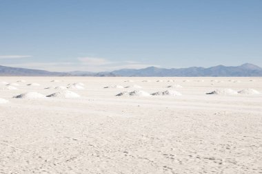 Salinas Grandes - Jujuy - Arjantin