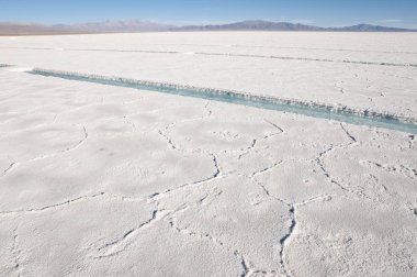 Salinas Grandes - Jujuy - Arjantin
