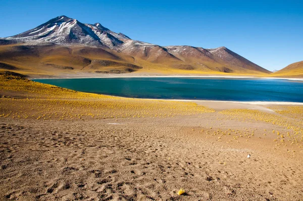 Lagune Des Miniques Nord Chili — Photo