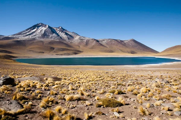 Laguna Miniques Cile Del Nord — Foto Stock