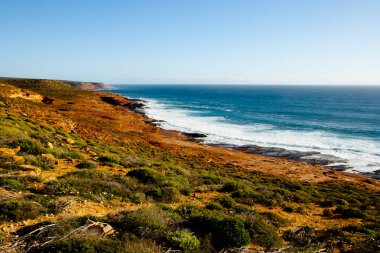 Kırmızı blöf kumtaşı - Kalbarri - Avustralya