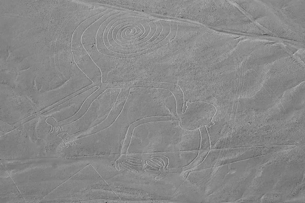 The Monkey - Nasca Lines - Peru