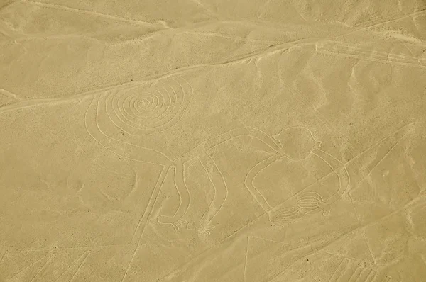 Mono Líneas Nasca Perú — Foto de Stock