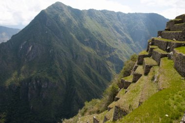Machu Picchu dik teraslar - Peru