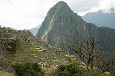 Huayna Picchu dağ Andes - Peru