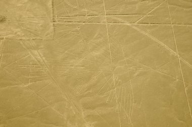 Condor - Nasca çizgileri - Peru