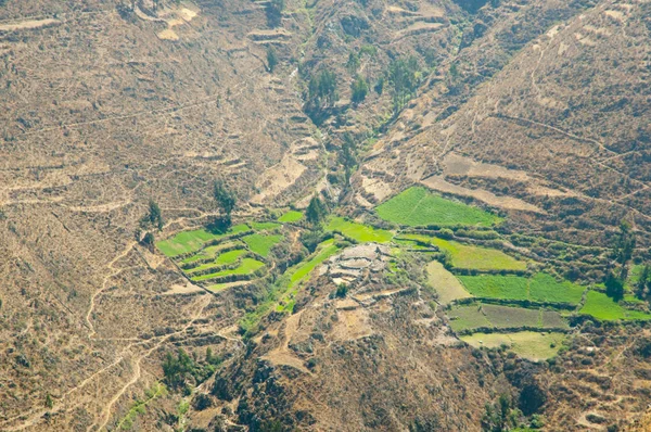 Campos Agrícolas Los Andes Perú — Foto de Stock