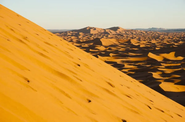 Dunes Sable Dans Désert Merzouga Maroc — Photo