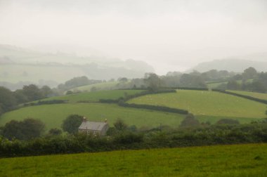 Cornwall - İngiltere'de tepelerde haddeleme