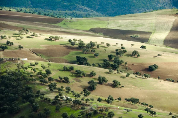 Collines Dans Les Montagnes Atlas Maroc — Photo