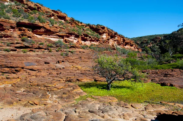 Río Murchison Garganta Kalbarri Australia — Foto de Stock