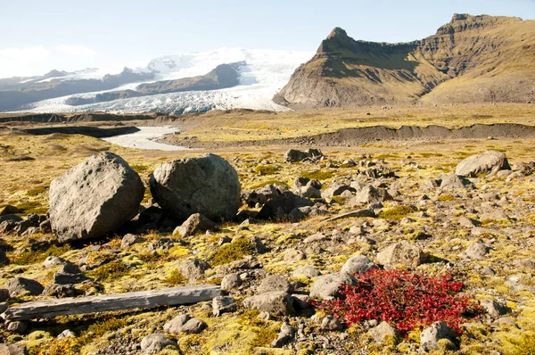 Пустелі Vatnajokull Національному Парку Ісландії — стокове фото