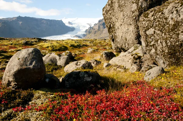 Naturaleza Salvaje Parque Nacional Vatnajokull Islandia — Foto de Stock