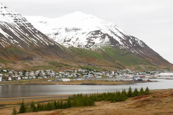 Місто Siglufjordur Ісландії — стокове фото