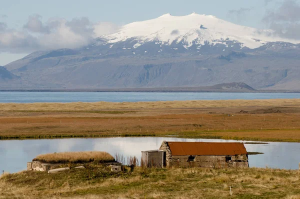 Старий Відмовилися Дерев Яною Кабіною Дикій Природі Ісландії — стокове фото