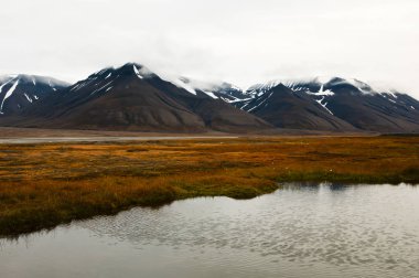Spitsbergen - Svalbard - Norveç dağlarında