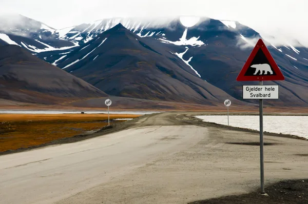 Señal Advertencia Oso Polar Longyearbyen Svalbard — Foto de Stock