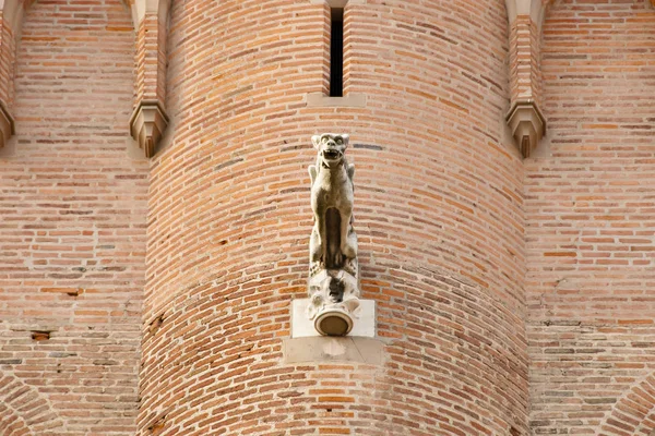 Gargoyle Kathedraal Van Albi Albi France — Stockfoto