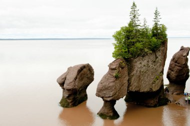 Hopewell Rocks - New Brunswick - Kanada