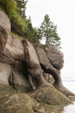 Hopewell Rocks - New Brunswick - Kanada