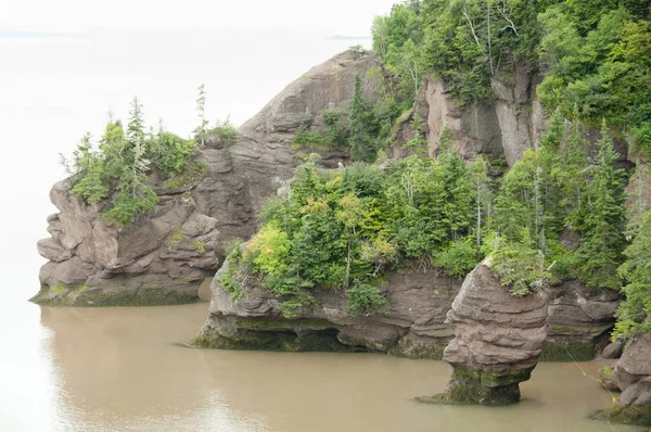 Hopewell Rocks New Brunswick Canadá — Fotografia de Stock