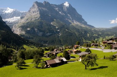 Grindelwald şehir Bernese Alpleri'nde - İsviçre