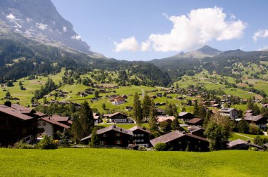 Grindelwald şehir Bernese Alpleri'nde - İsviçre